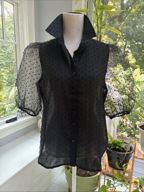 Sheer Swiss Dot Puff Sleeve Coquette Blouse